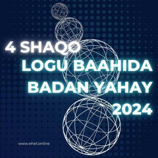 4 Shaqo loogu baahida badan yahay 2024