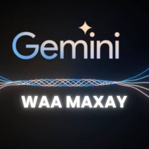 Waa Maxay Gemini (Google's AI)